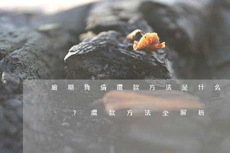 逾期負債還款方法是什么，如何處理逾期負債？還款方法全解析